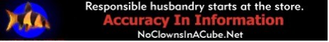 No Clowns in a Cube